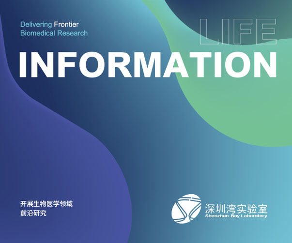 廣州logo設計公司致力于通過我們的慈善合作伙伴關系為國內外強大