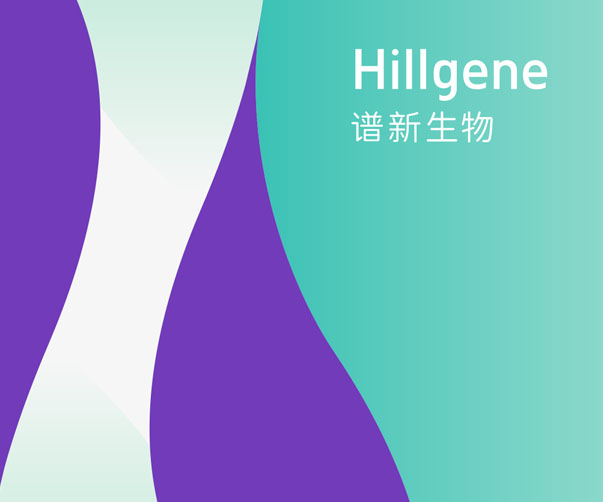 廣州品牌設(shè)計公司?如何應(yīng)對這5個常見的網(wǎng)絡(luò)挑戰(zhàn)